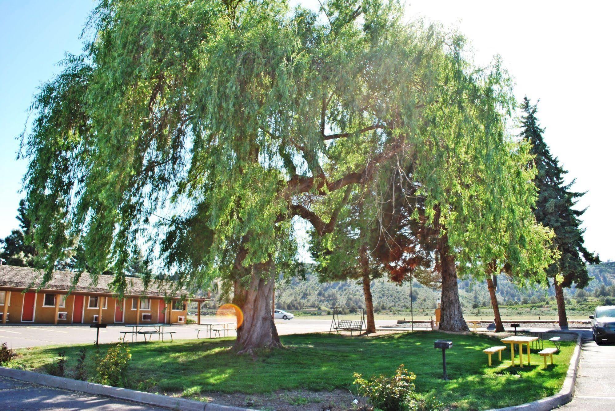 Oregon Motel 8 And Rv Park Кламат Фолс Екстериор снимка